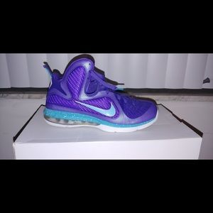 Lebron 9 Hornets